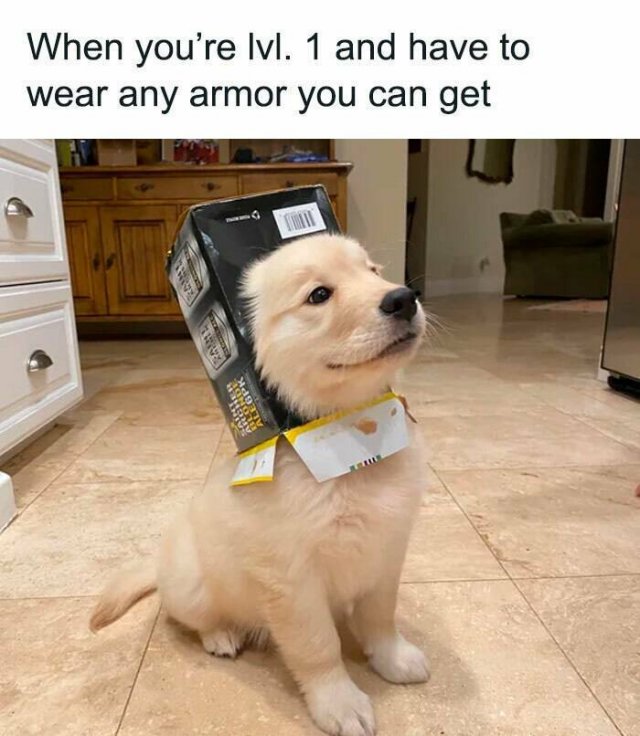 Memes For Gamers (24 pics)