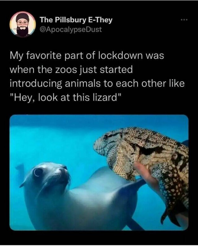 Animal Memes (27 pics)