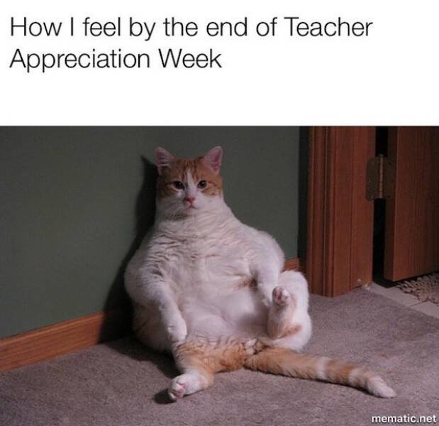 Memes For Teachers (17 pics)