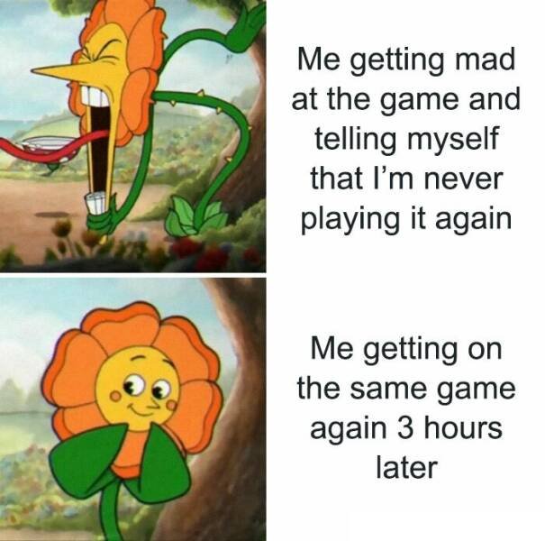 Memes For Gamers (24 pics)