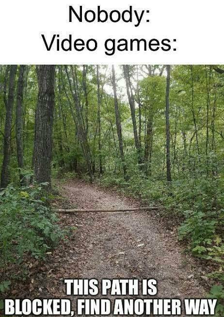 Memes For Gamers (24 pics)