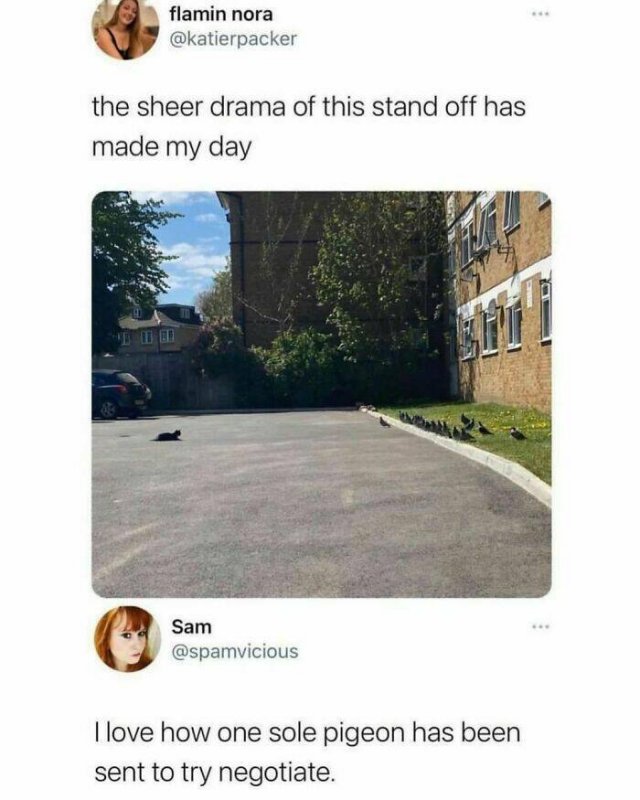 Animal Memes (27 pics)