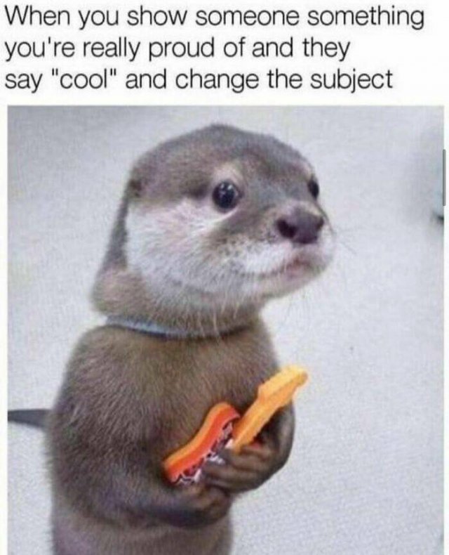 Animal Memes (27 pics)