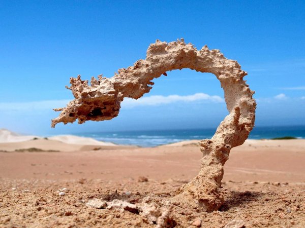 Interesting Finds From Around The World (25 pics)
