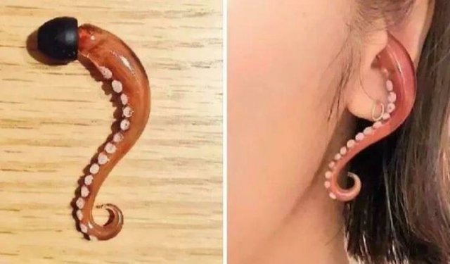 Unusual And Weird Finds (23 pics)