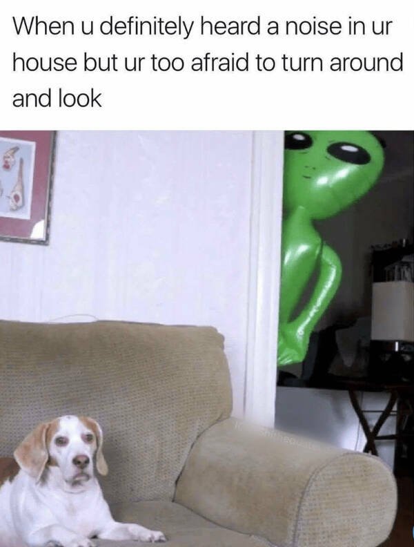 Memes With Animals (15 pics)