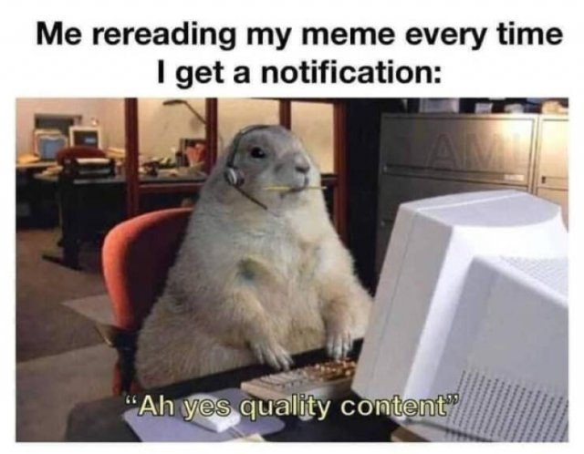 Memes With Animals (15 pics)