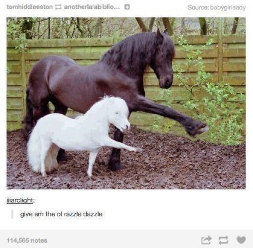 Memes With Animals (15 pics)