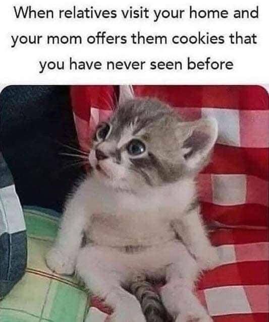 Memes With Animals (15 pics)