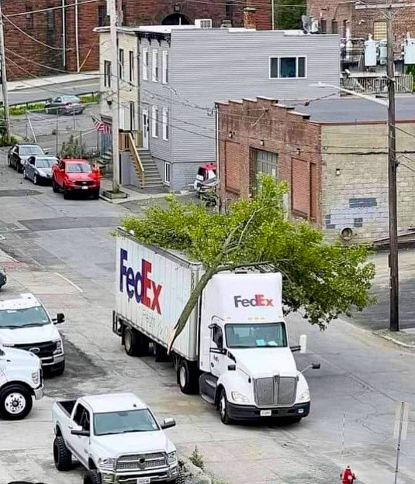 Crazy Cars (48 pics)