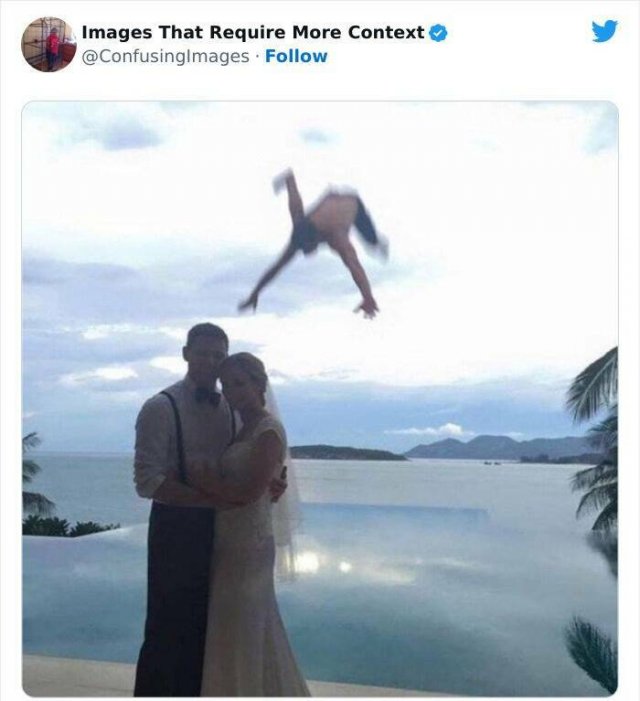 Funny Photos Without Context (24 pics)