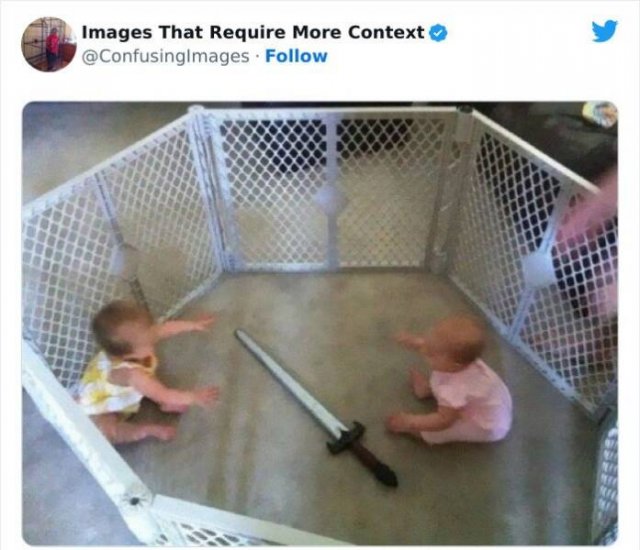 Funny Photos Without Context (24 pics)