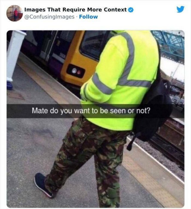 Funny Photos Without Context (24 pics)