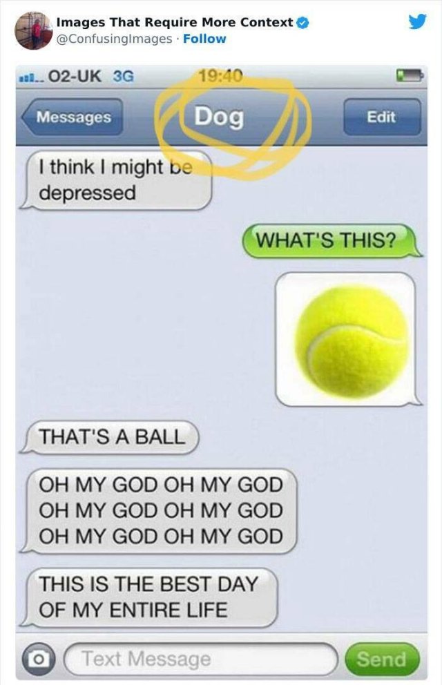 Funny Photos Without Context (24 pics)
