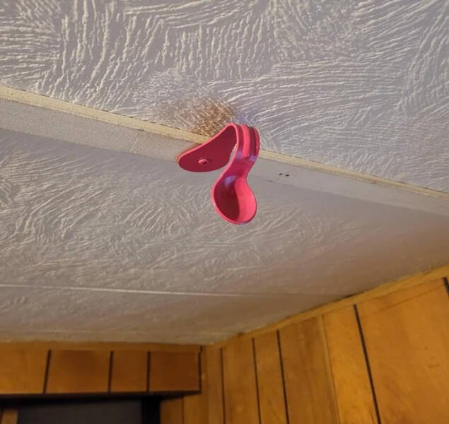 What Are These Things? (15 pics)