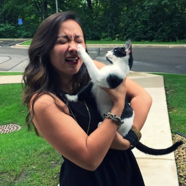 Very Brazen Animals (26 pics) Very Brazen Animals (26 pics)