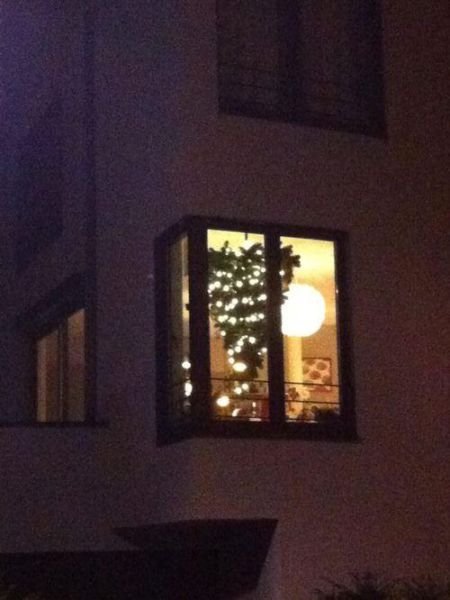 What Is Going On Here? (29 pics)
