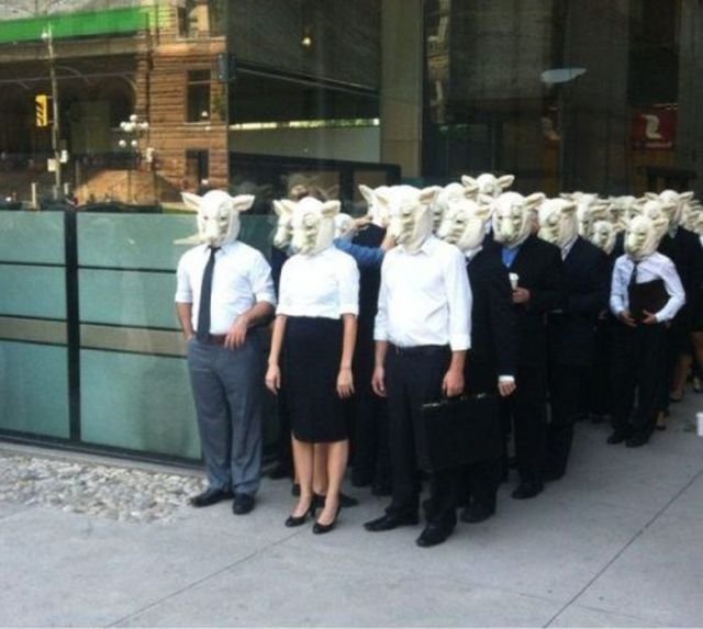 What Is Going On Here? (29 pics)