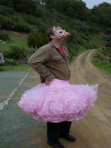 Odd Finds And Situations (39 pics)