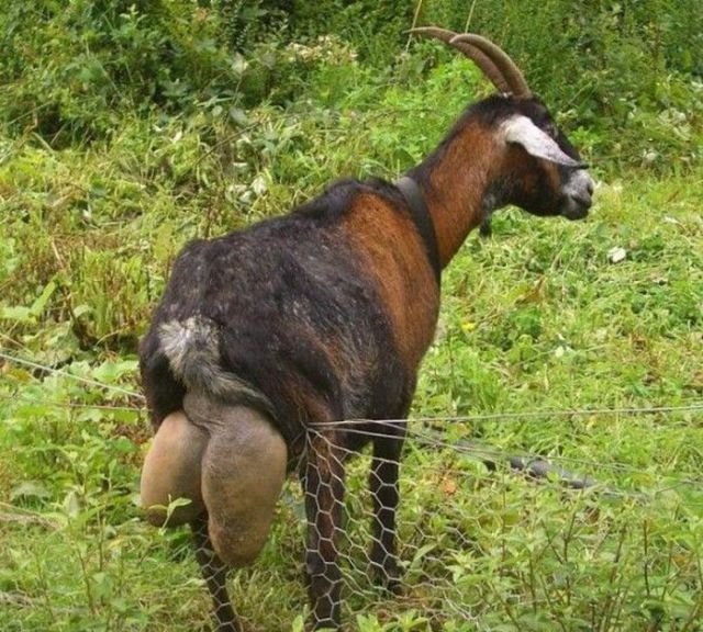 Odd Finds And Situations (39 pics)