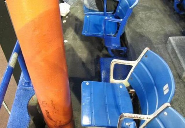Odd Finds And Situations (39 pics)
