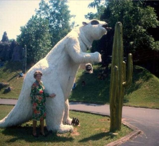 What Is Going On Here? (29 pics)