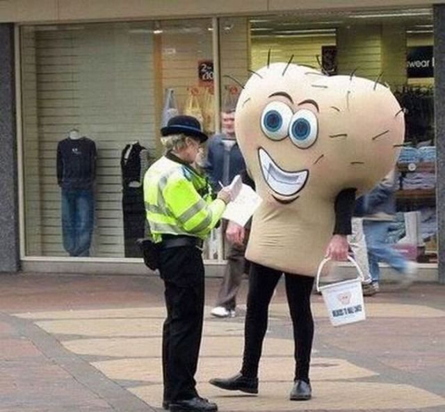 Odd Finds And Situations (39 pics)