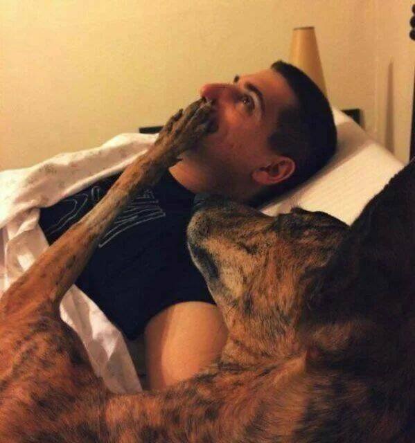 Funny Animals (24 pics)
