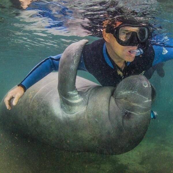 Funny Animals (24 pics)