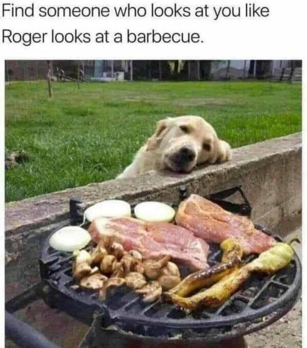 Funny Animals (24 pics)