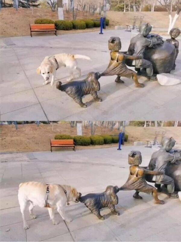 Funny Animals (24 pics)