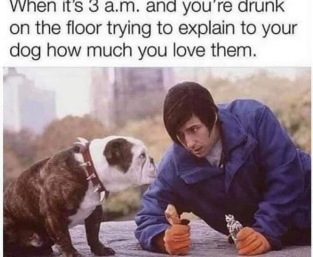 Cute And Funny Dogs (36 pics)