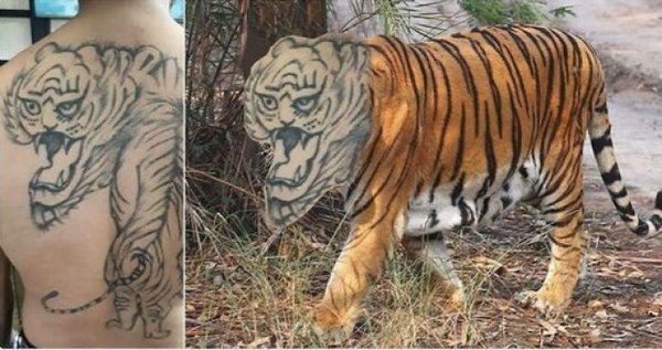 Odd Tattoos (30 pics)