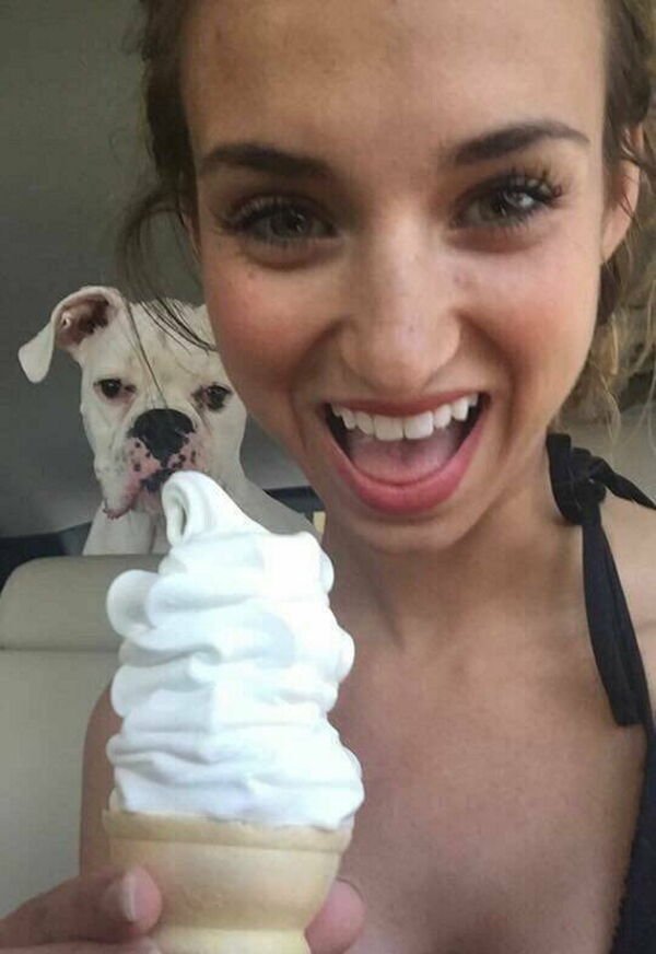 Cute And Funny Dogs (36 pics)