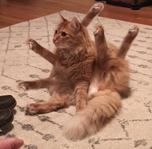 Unusual Finds And Photos From Around The World (24 pics) Unusual Finds And Photos From Around The World (24 pics)