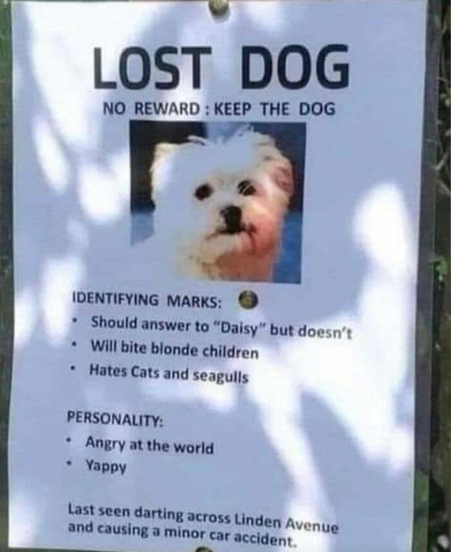 Funny Signs (23 pics)