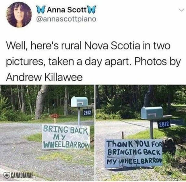 Funny Signs (23 pics)