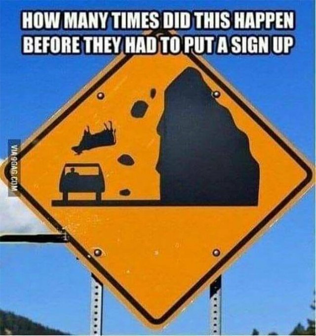 Funny Signs (23 pics)