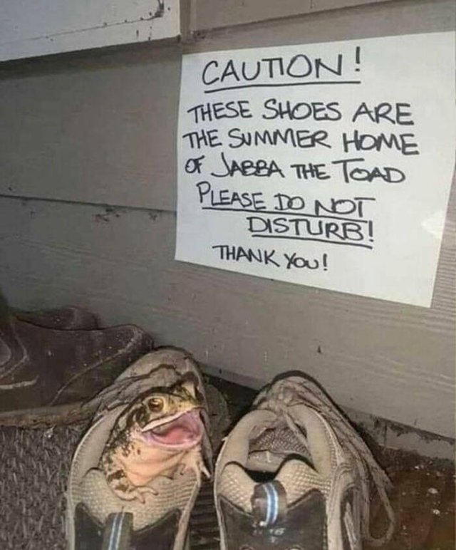 Funny Signs (23 pics)