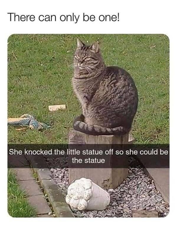 Funny Memes (24 pics)