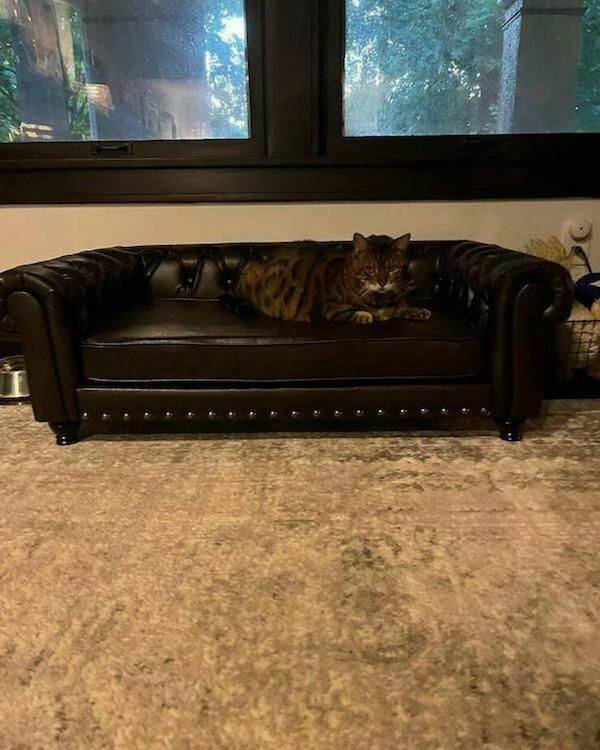 Unusual Things And Designs (35 pics)