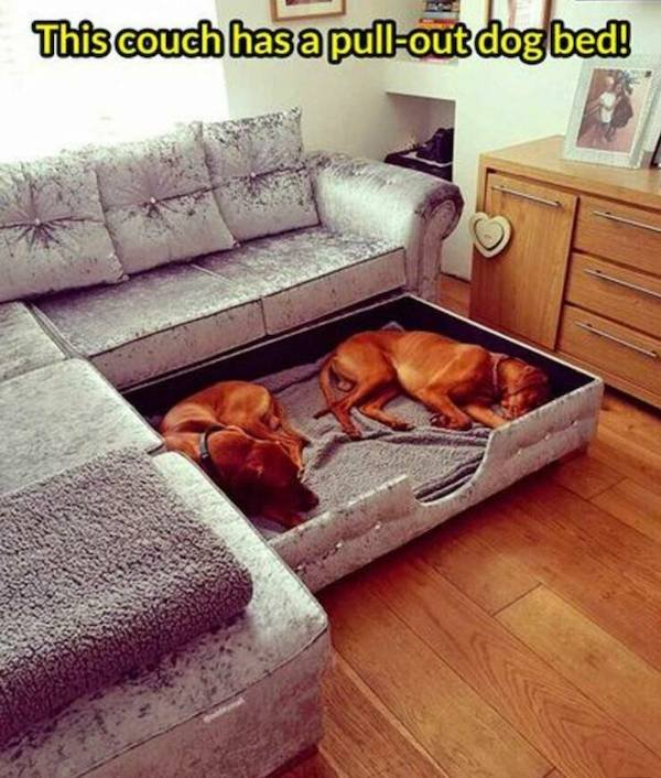 Unusual Things And Designs (35 pics)