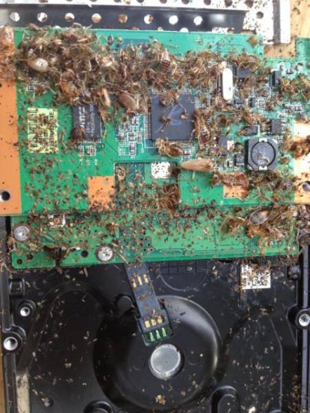 What Is Going On Here? (48 pics)