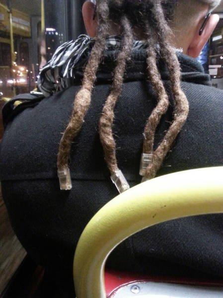What Is Going On Here? (48 pics)