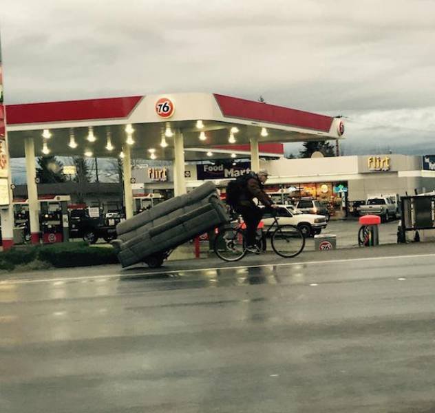 What Is Going On Here? (48 pics)