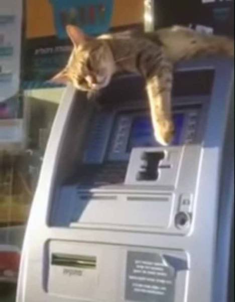 People And ATM's (35 pics)