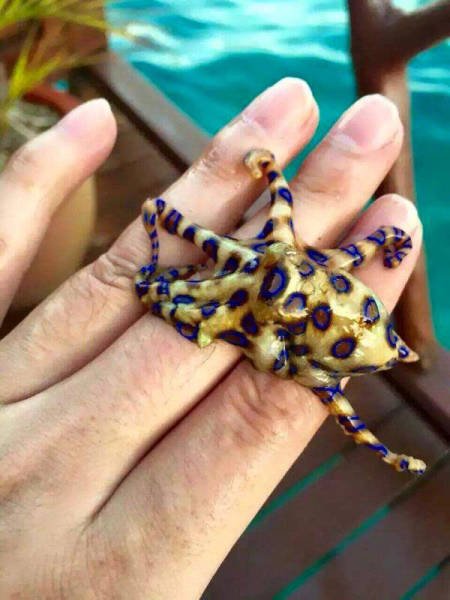 What Is Going On Here? (48 pics)