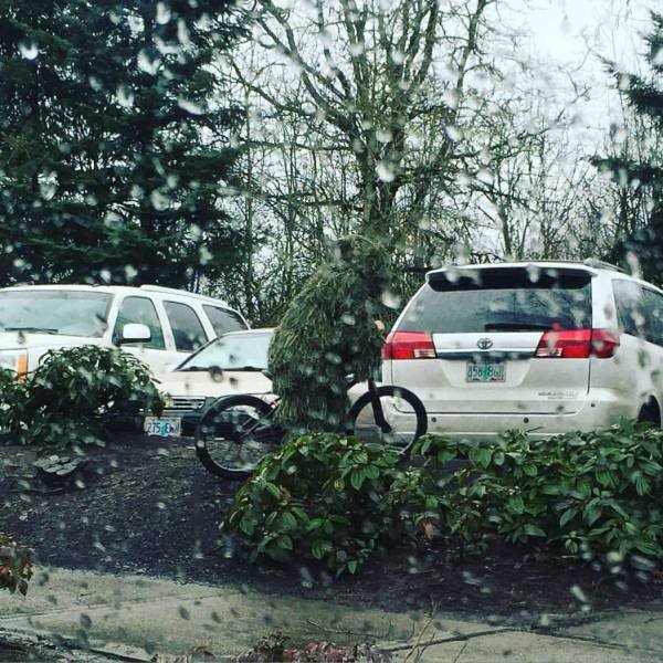 What Is Going On Here? (48 pics)