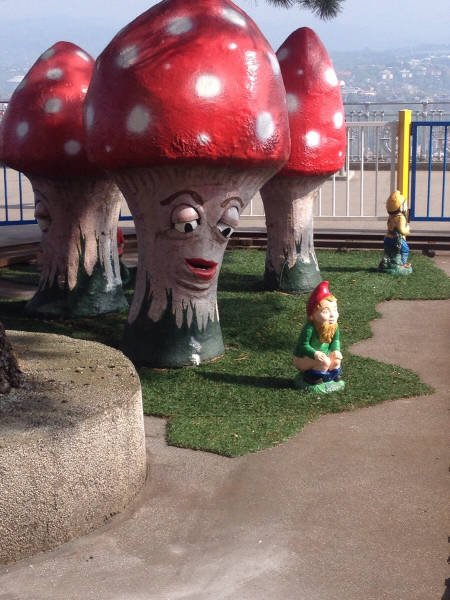 What Is Going On Here? (48 pics)