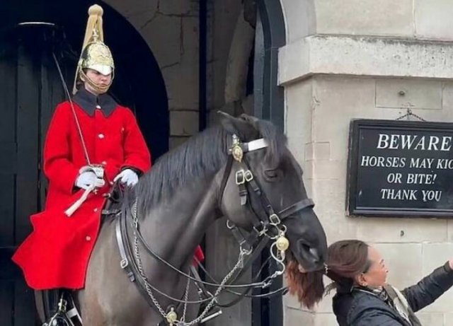With Humor About Britain (24 pics)